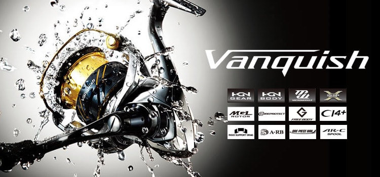 img vanquish16-min