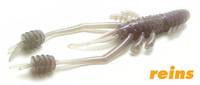 Ring Shrimp