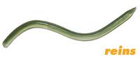 Swamp Worm