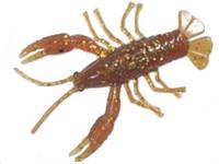 Crayfish
