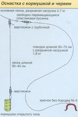 2kok