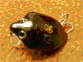 28ull
