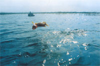 2fl