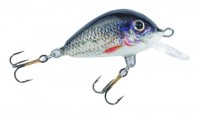 Pike-Perch