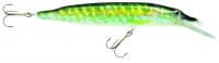 Pike