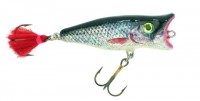 Popper
