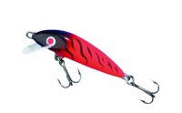 Trout Magnet