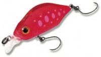 Kangoku Minnow