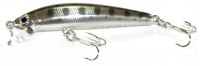 Sugar Minnow