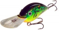 Fat Free Guppy BD5M