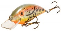 Fat Free Shallow BD4SL