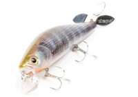 Spiralminnow