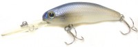 C.C. Predator