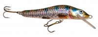 Minnow