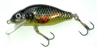 Perch