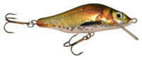 Whitefish