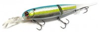 Wind Killer Bill