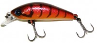 Chubby Minnow