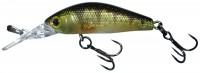 Diving Chubby Minnow