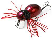 Hama-ku-ru spider