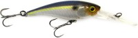 Soul Shad