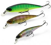 Squad Minnow