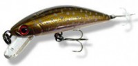 Trout Tune