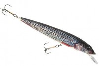 Fish Max
