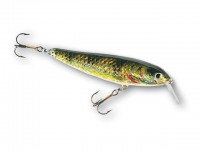 SH Minnow
