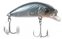 KF Minnow