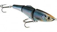 Blue Back Herring