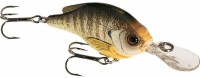Bluegill