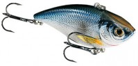 Golden Shiner