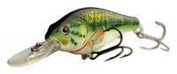 Large Mouth Bass