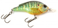 Pumpkinseed