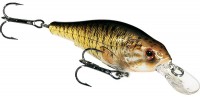 Small Mouth Bass