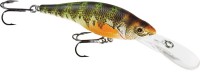 Yellow Perch