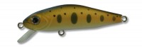 Arado XS