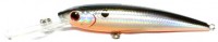 Invince HTR Minnow