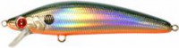 Invince Minnow