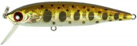 JIG Minnow