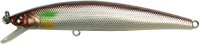 Orin Minnow