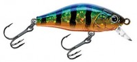 Mini Shad