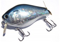 Bull Fish