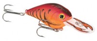 Fat CB GDS Mini DR