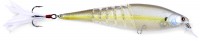 Live Pointer Bone Body