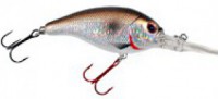 Fukai Shad
