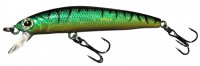 Phantom Minnow