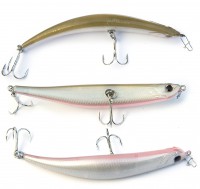 Bent Minnow