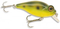 Bug Eye Bait